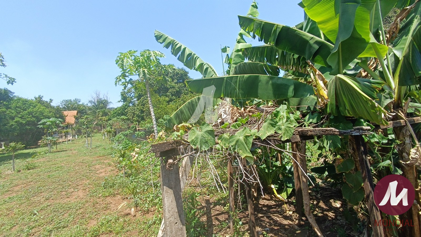 Terreno/Lote — foto 4