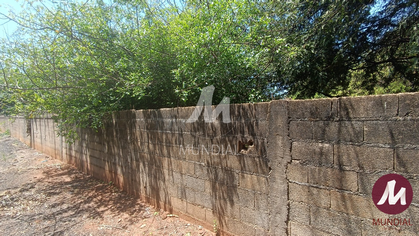 Terreno/Lote — foto 5