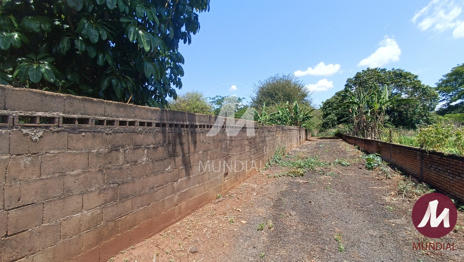 Terreno/Lote — foto 6