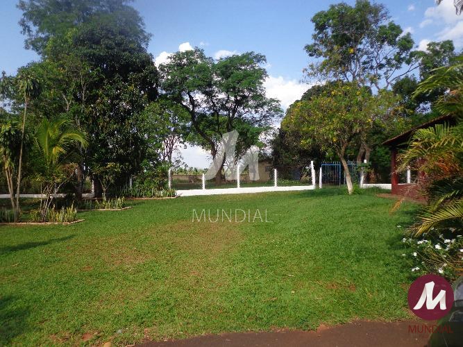 Outras — foto 6