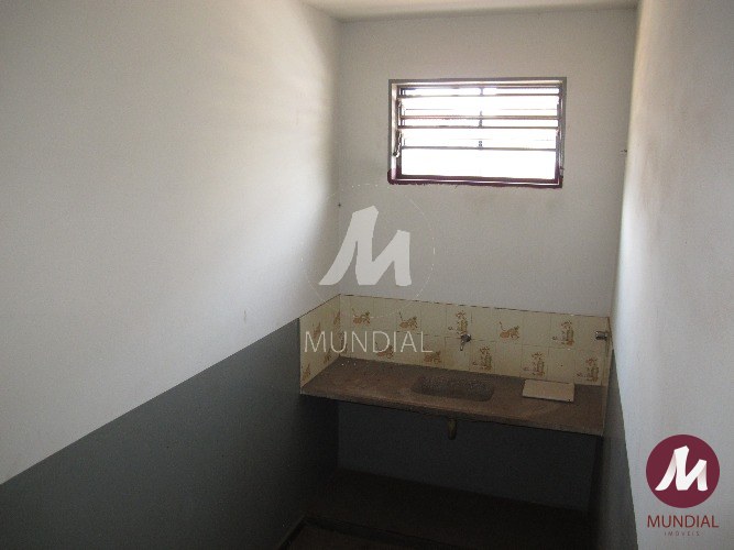 Copa — foto 12