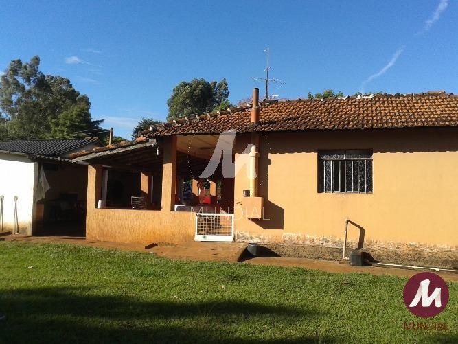 Outras — foto 6