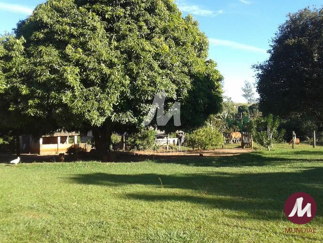 Outras — foto 12