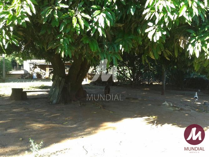 Outras — foto 14