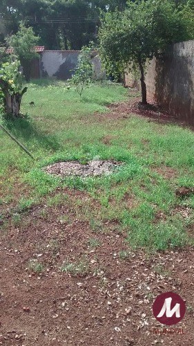 Terreno/Lote — foto 1