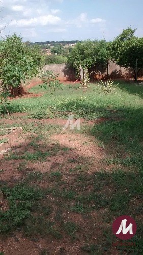 Terreno/Lote — foto 3