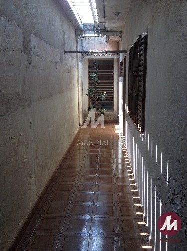 Quintal/corredores — foto 5