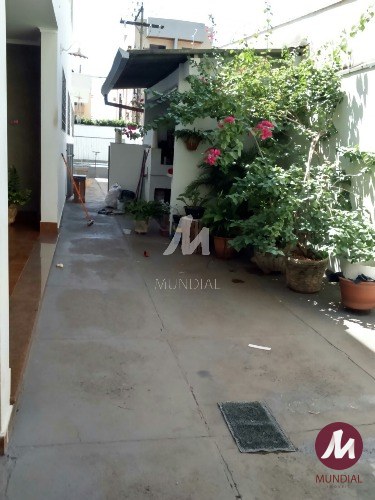 Quintal/corredores — foto 15