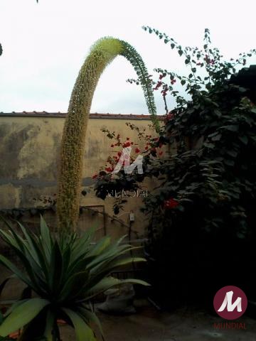 Jardim — foto 14