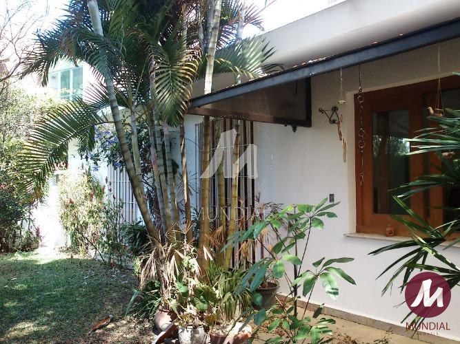Jardim — foto 3