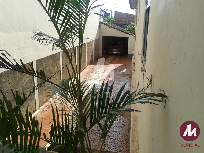 Quintal/corredores — foto 6