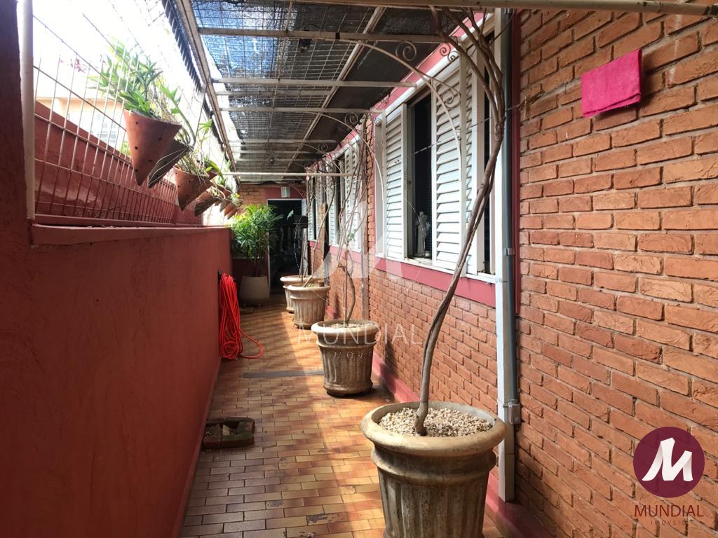 Jardim — foto 15