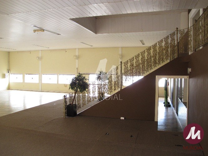 Salão — foto 10