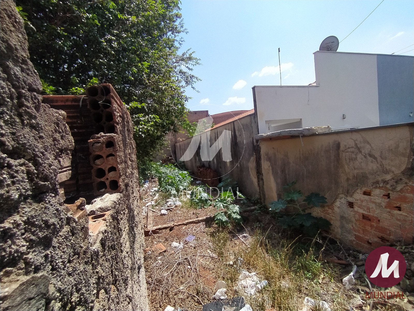 Terreno/Lote — foto 1