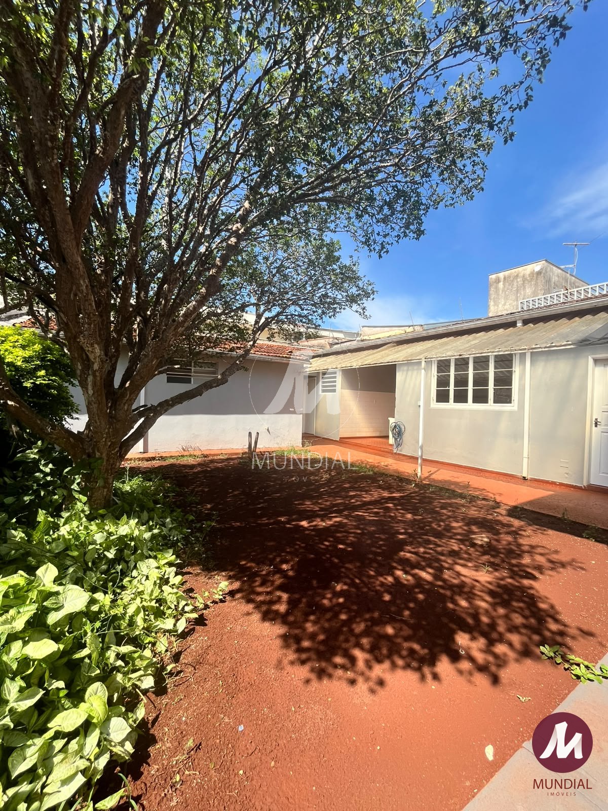 Quintal/corredores — foto 18