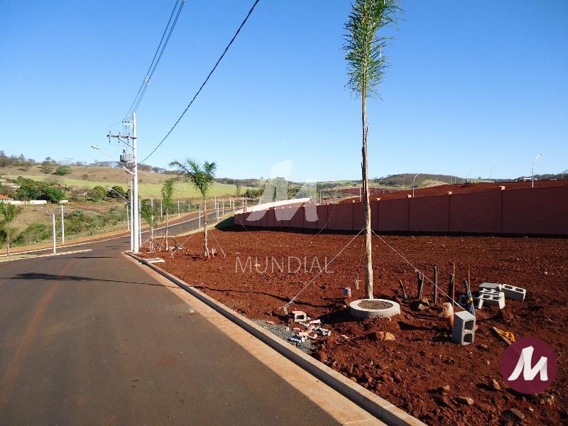 Terreno/Lote — foto 5