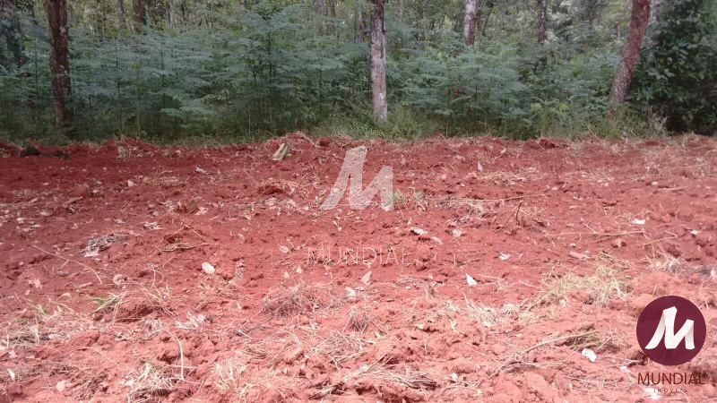 Terreno/Lote — foto 4