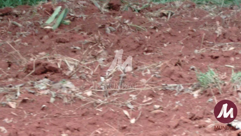 Terreno/Lote — foto 6