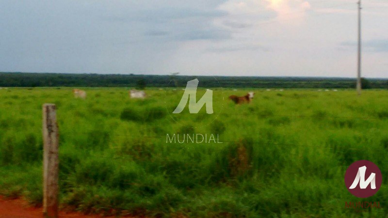 Terreno/Lote — foto 7