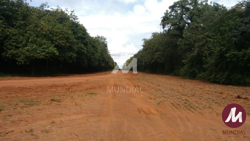 Terreno/Lote — foto 11