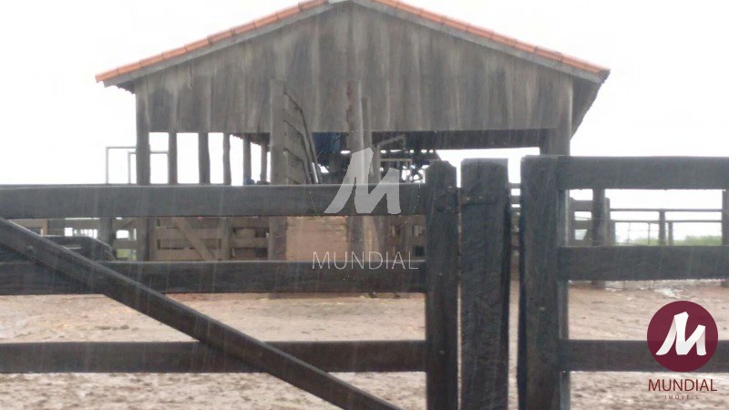 Terreno/Lote — foto 12