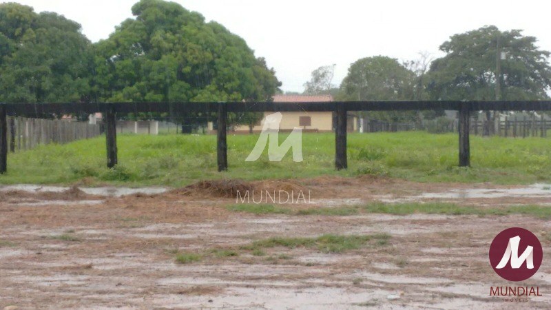 Terreno/Lote — foto 14