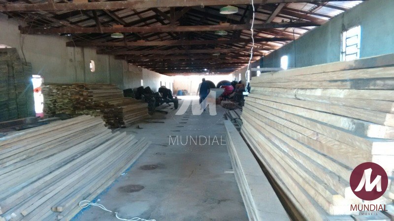 Terreno/Lote — foto 15