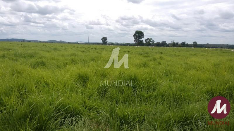 Terreno/Lote — foto 18