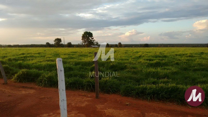 Terreno/Lote — foto 21