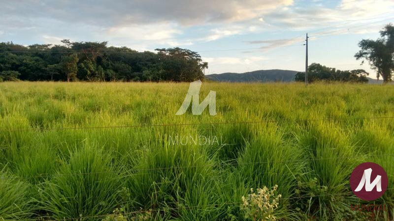 Terreno/Lote — foto 1