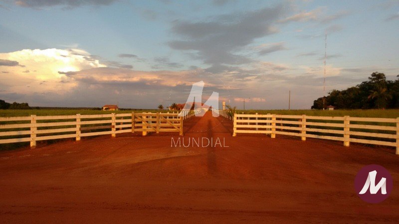 Terreno/Lote — foto 25