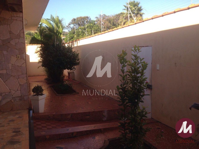 Quintal/corredores — foto 15