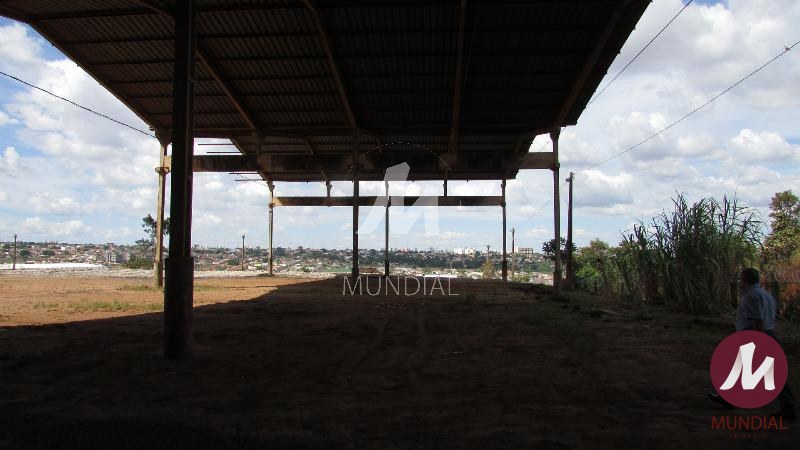 Outras — foto 15