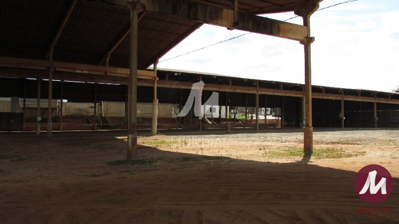 Outras — foto 21