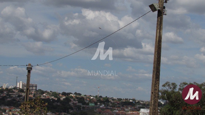 Outras — foto 22