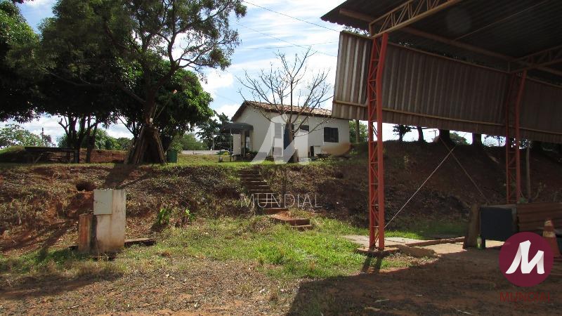Outras — foto 26