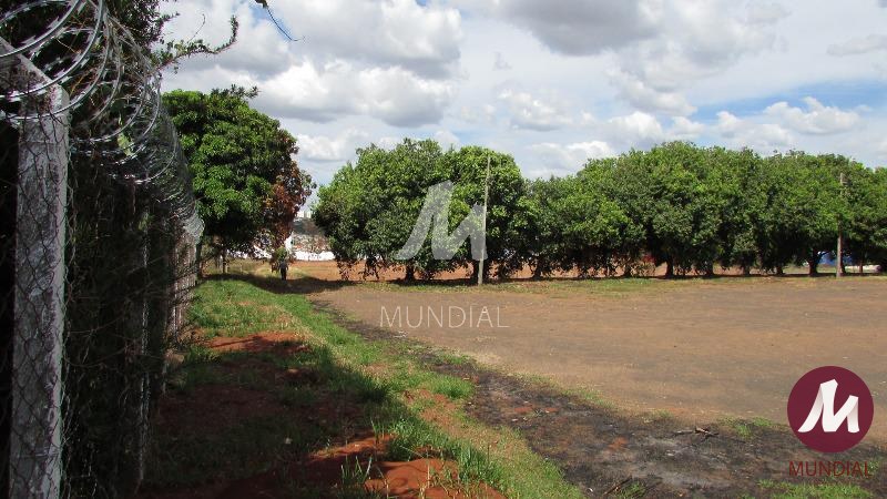 Garagem/estacionamento — foto 29