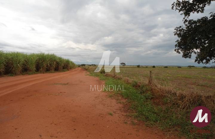 Terreno/Lote — foto 7