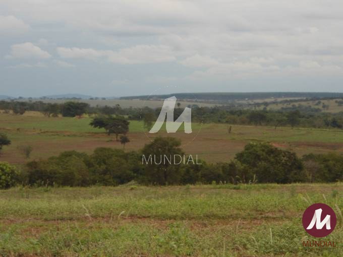 Terreno/Lote — foto 10