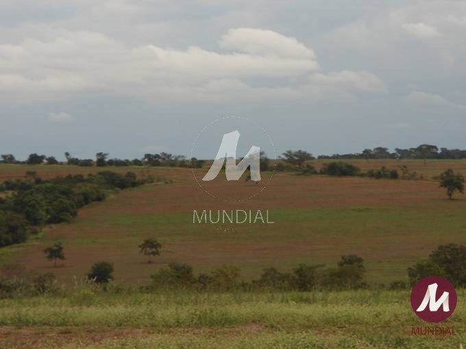 Terreno/Lote — foto 11