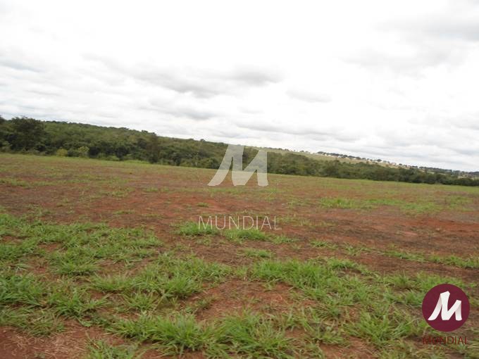 Terreno/Lote — foto 12