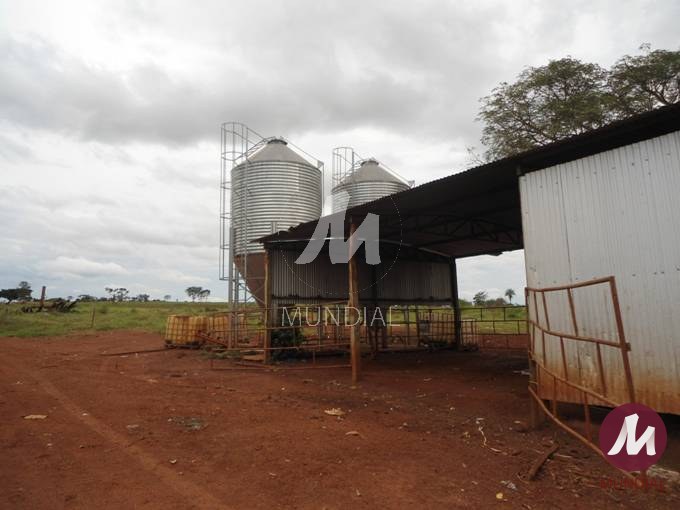 Terreno/Lote — foto 5