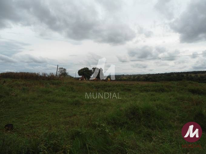 Terreno/Lote — foto 13