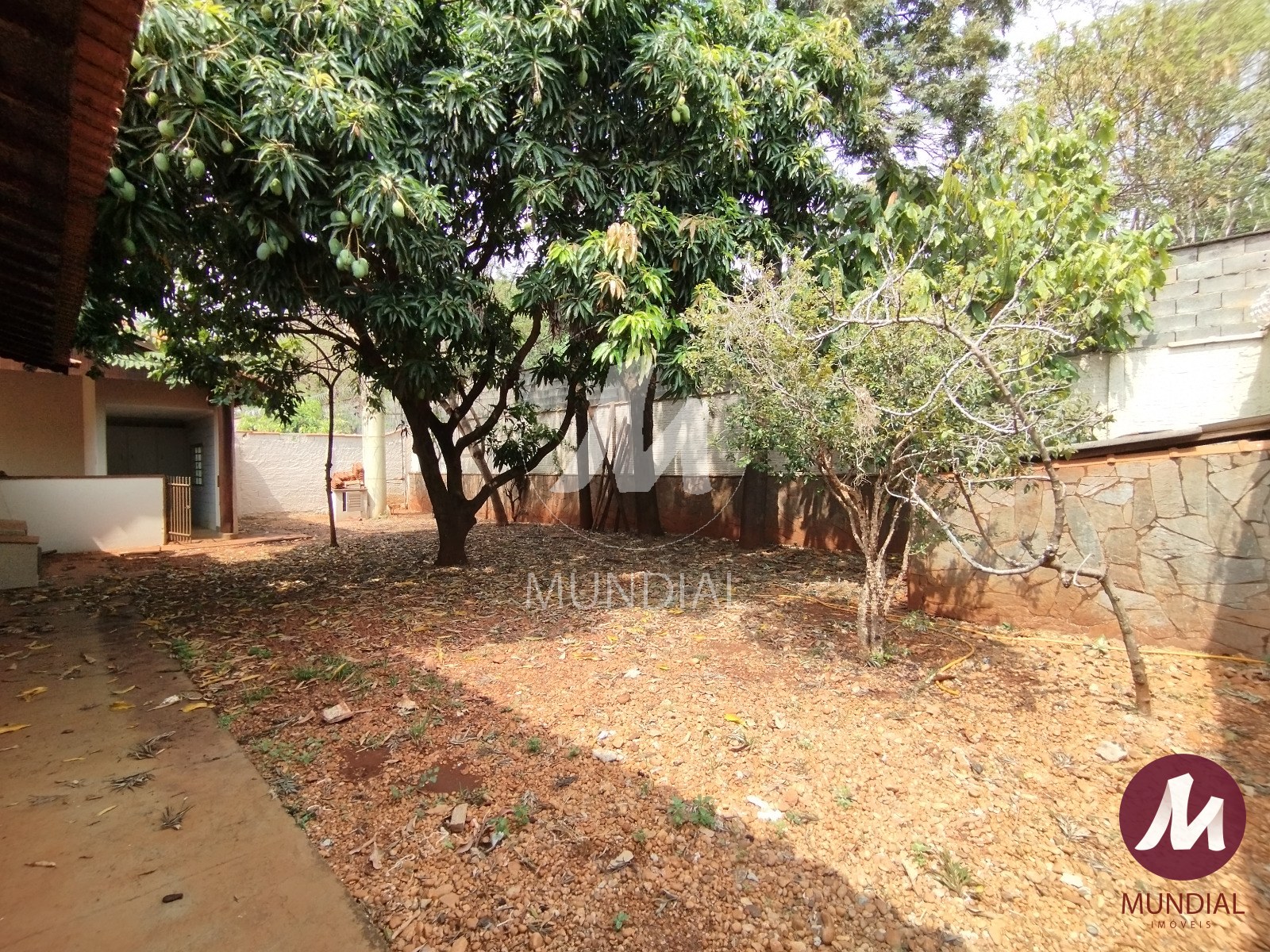 Quintal/corredores — foto 19