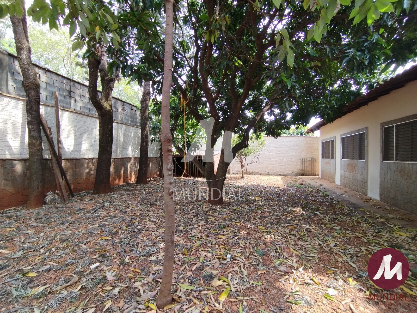 Quintal/corredores — foto 21