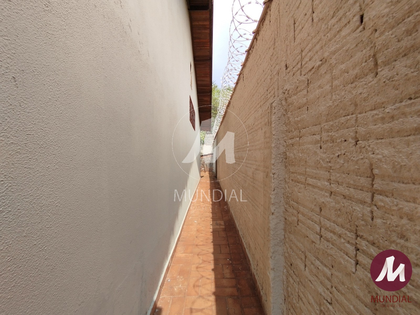 Quintal/corredores — foto 22