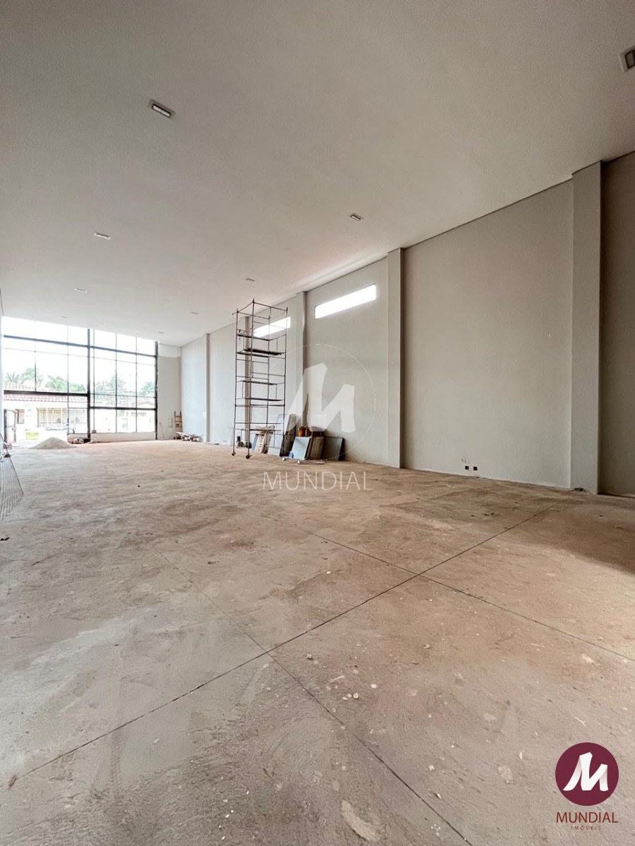 Acompanhamento da obra — foto 5