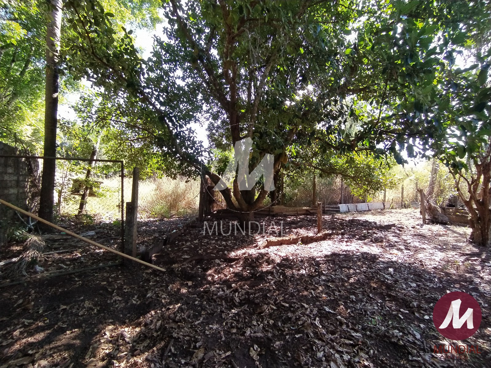 Jardim — foto 6