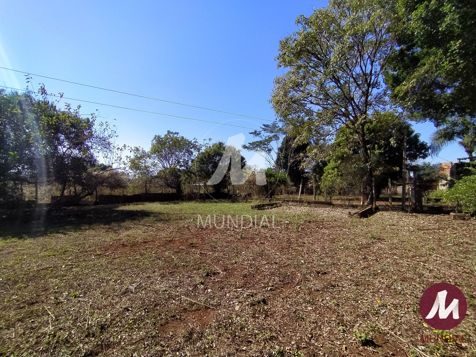 Jardim — foto 8