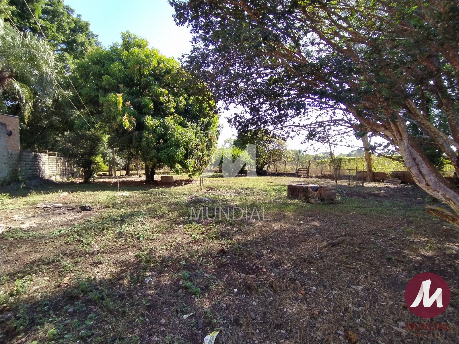 Jardim — foto 9